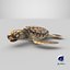 3D Baby Sea Turtle Brown