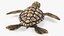 3D Baby Sea Turtle Brown