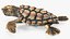 3D Baby Sea Turtle Brown
