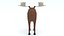 Low Poly Caretoon Moose 3D model