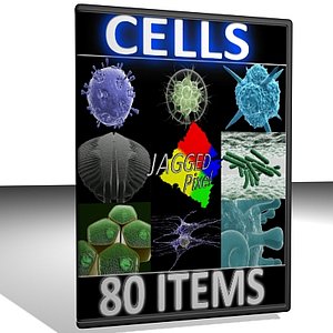80 objects micro cell 3d model