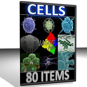 80 Micro Objects