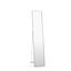 Adesso Alice Floor Mirror in Satin Steel