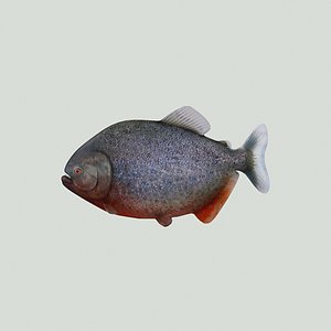 piranha 3d model