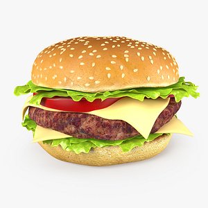 Hamburger
