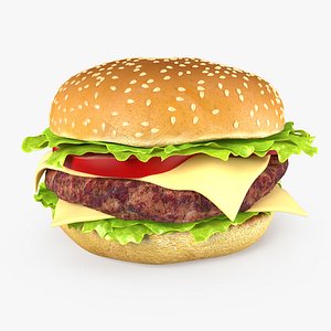 Hamburger