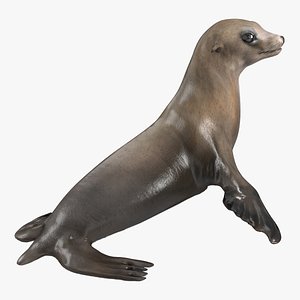sea lion pose 2 3d 3ds