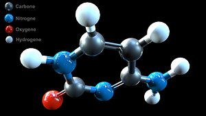 DNA - Cytosine - Nucleobase model