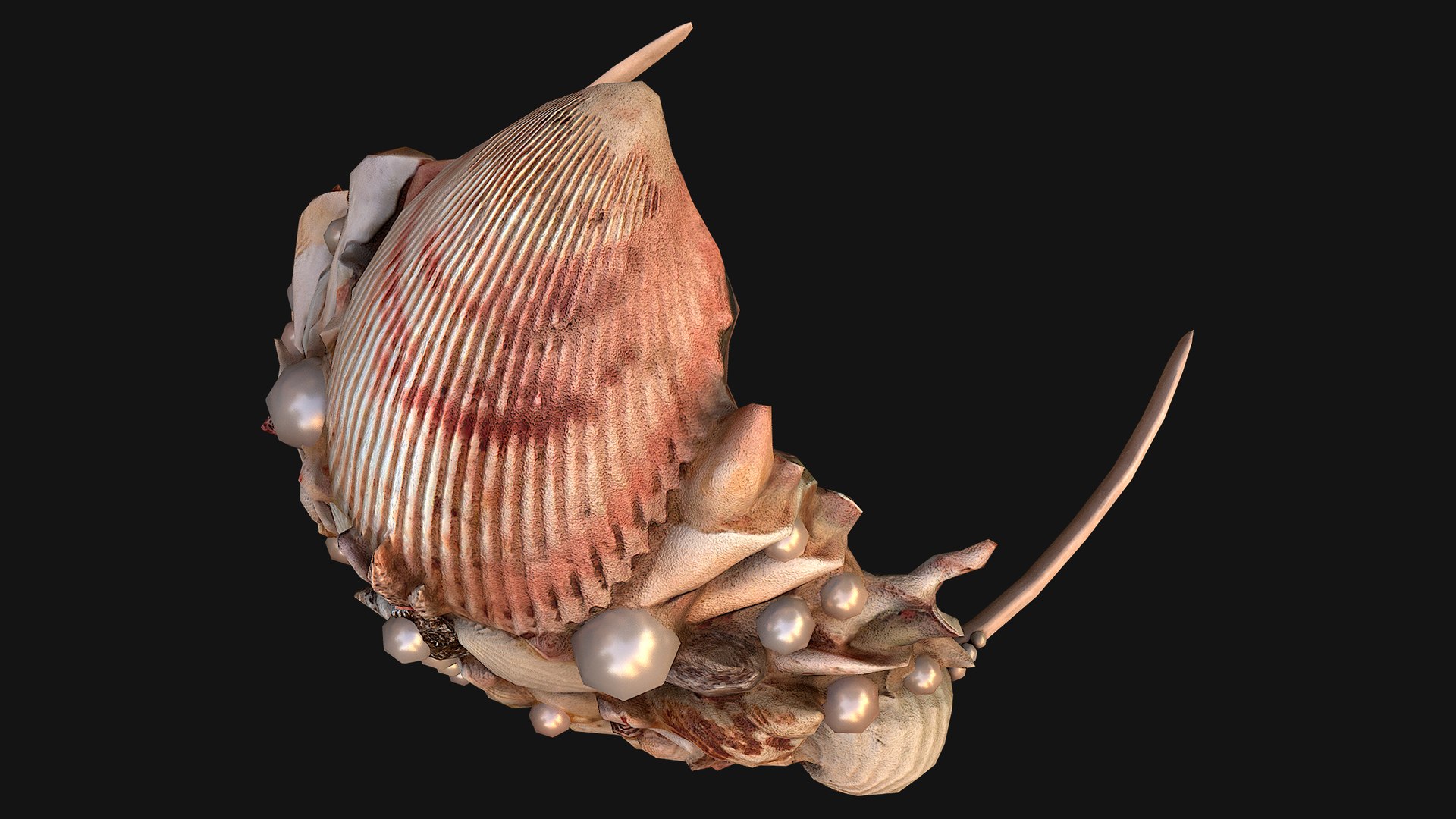 Barbie Crown Seashell Tiara 3D model https://p.turbosquid.com/ts-thumb/nh/V7wtbd/1l/crown2img21/png/1705171567/1920x1080/fit_q87/c3ba1b18bef2960d6cc222426ccd6dea528bd357/crown2img21.jpg