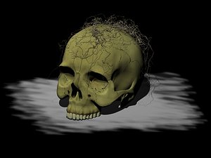 skull blend free