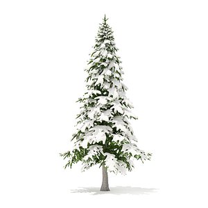 fir tree snow 5 3D model