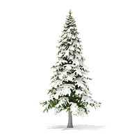 Fir Tree with Snow 3D Model 5.9m