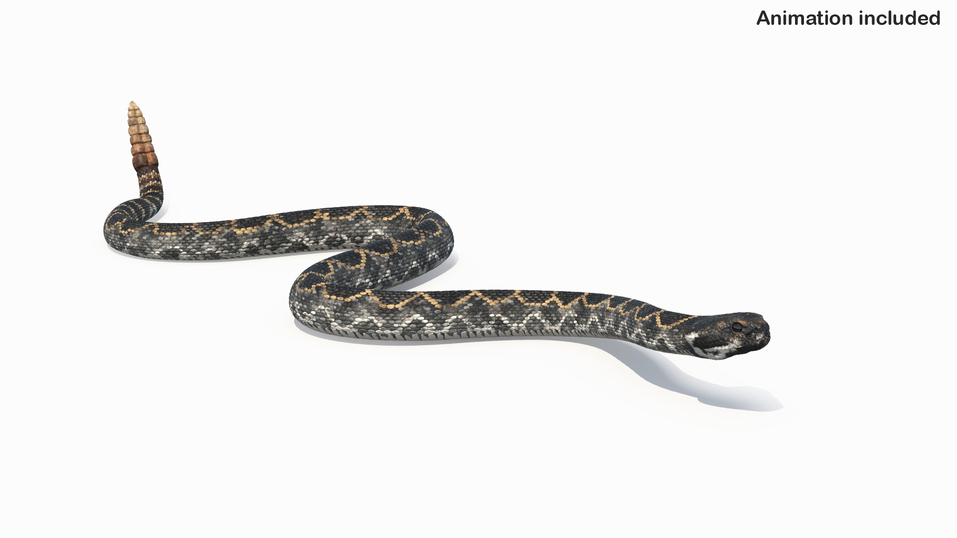 3D Model Rattlesnake Crawls Animated Rigged For Maya - TurboSquid 2486203
