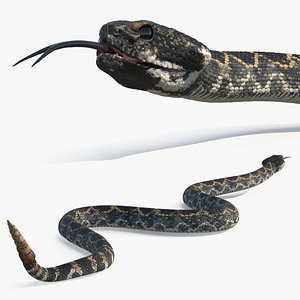 3D model Rattlesnake Crawls Animated Rigged for Maya