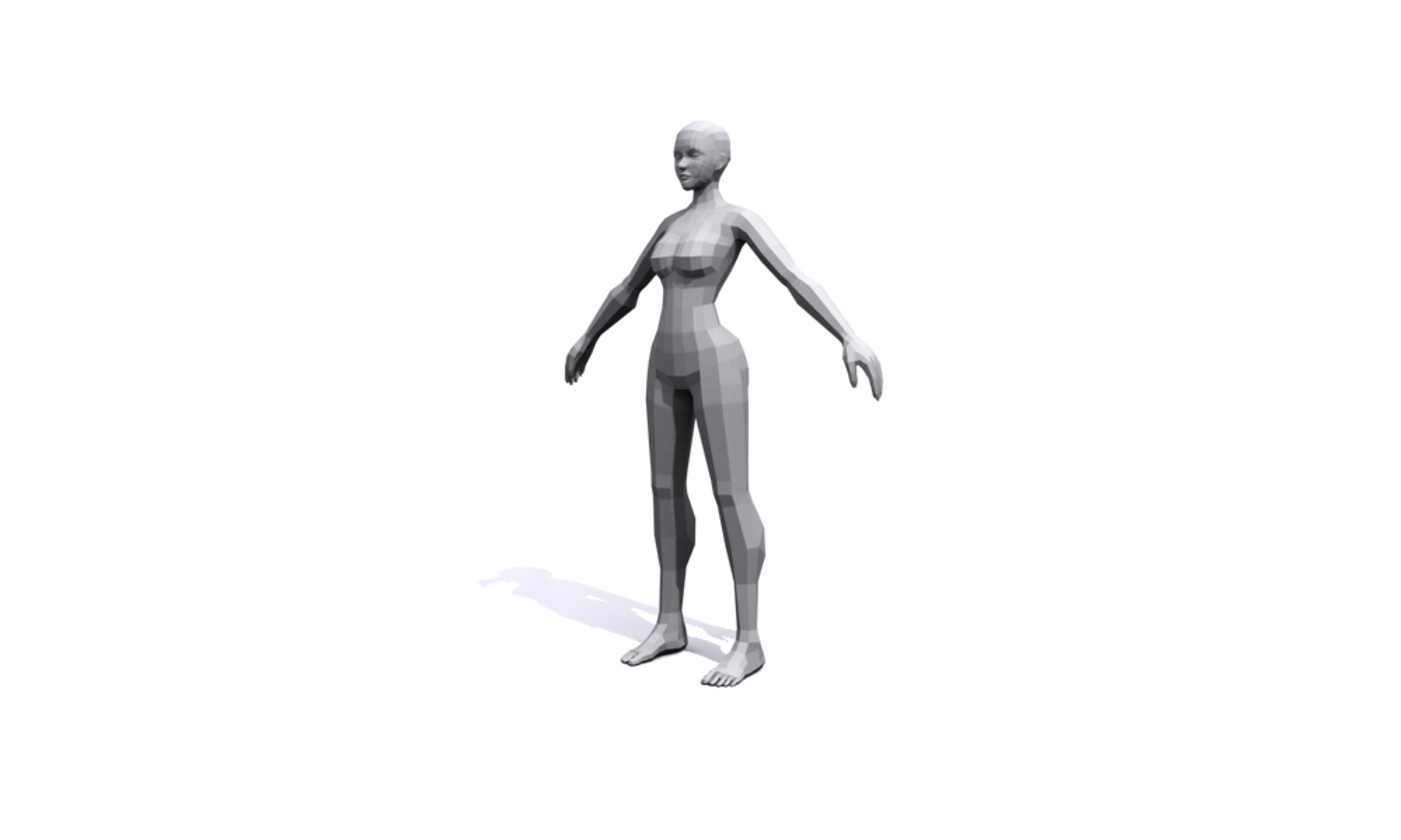 3d Female Base Mesh Human