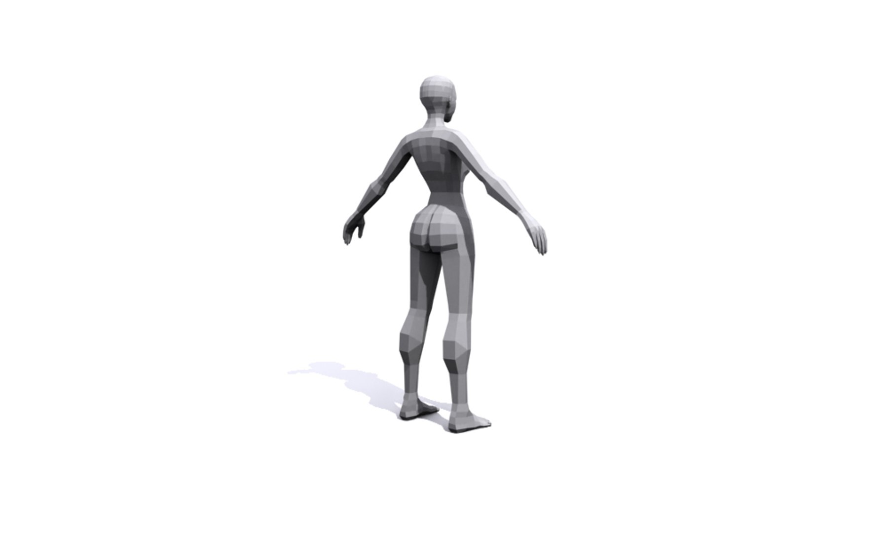 3d Female Base Mesh Human