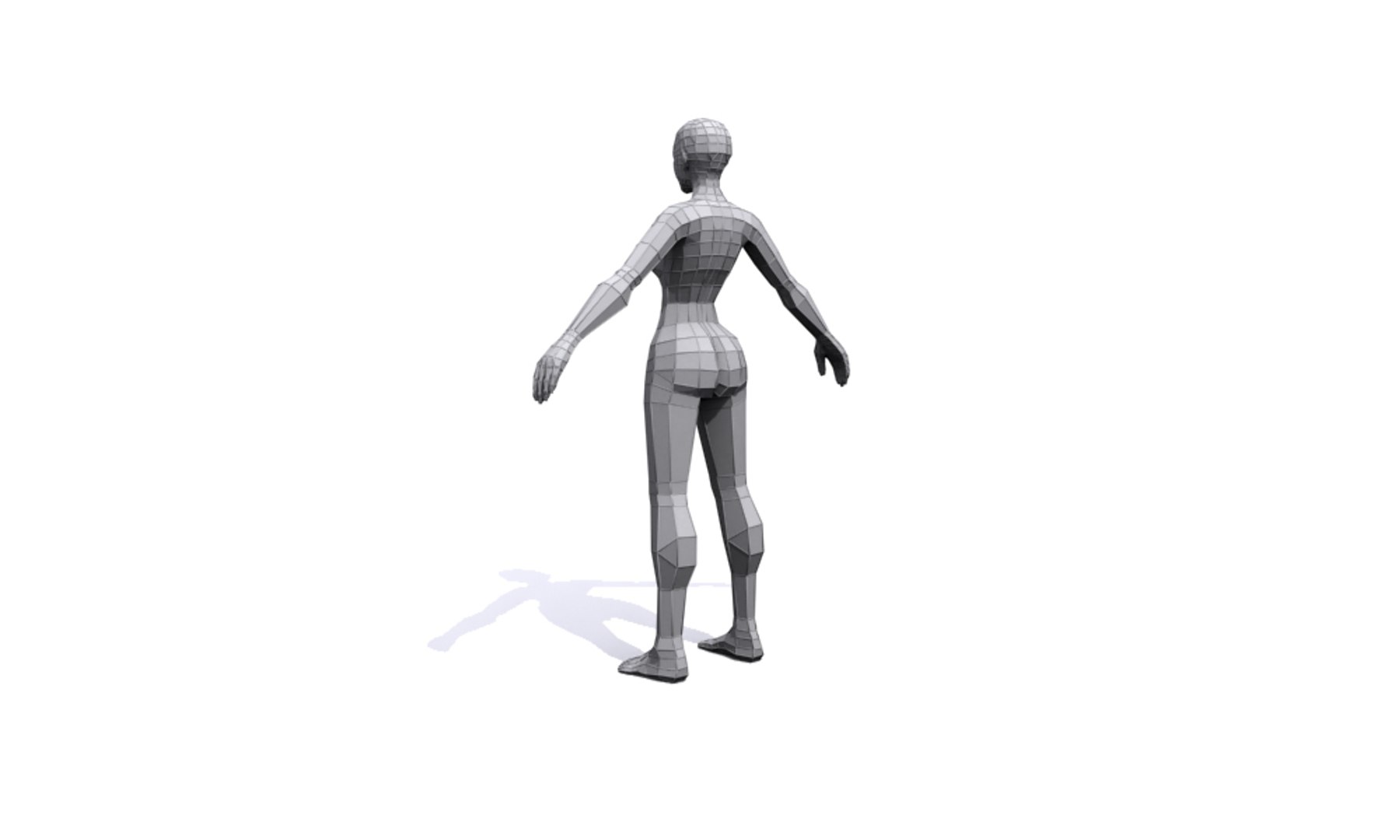 3d Female Base Mesh Human