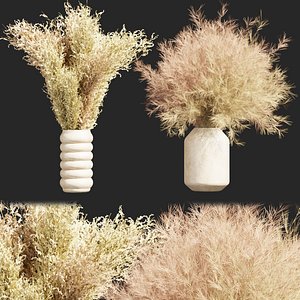 Collection plant vol 372 - Bouquet - dried - flowers - blender - 3dmax - cinema 4d 3D model