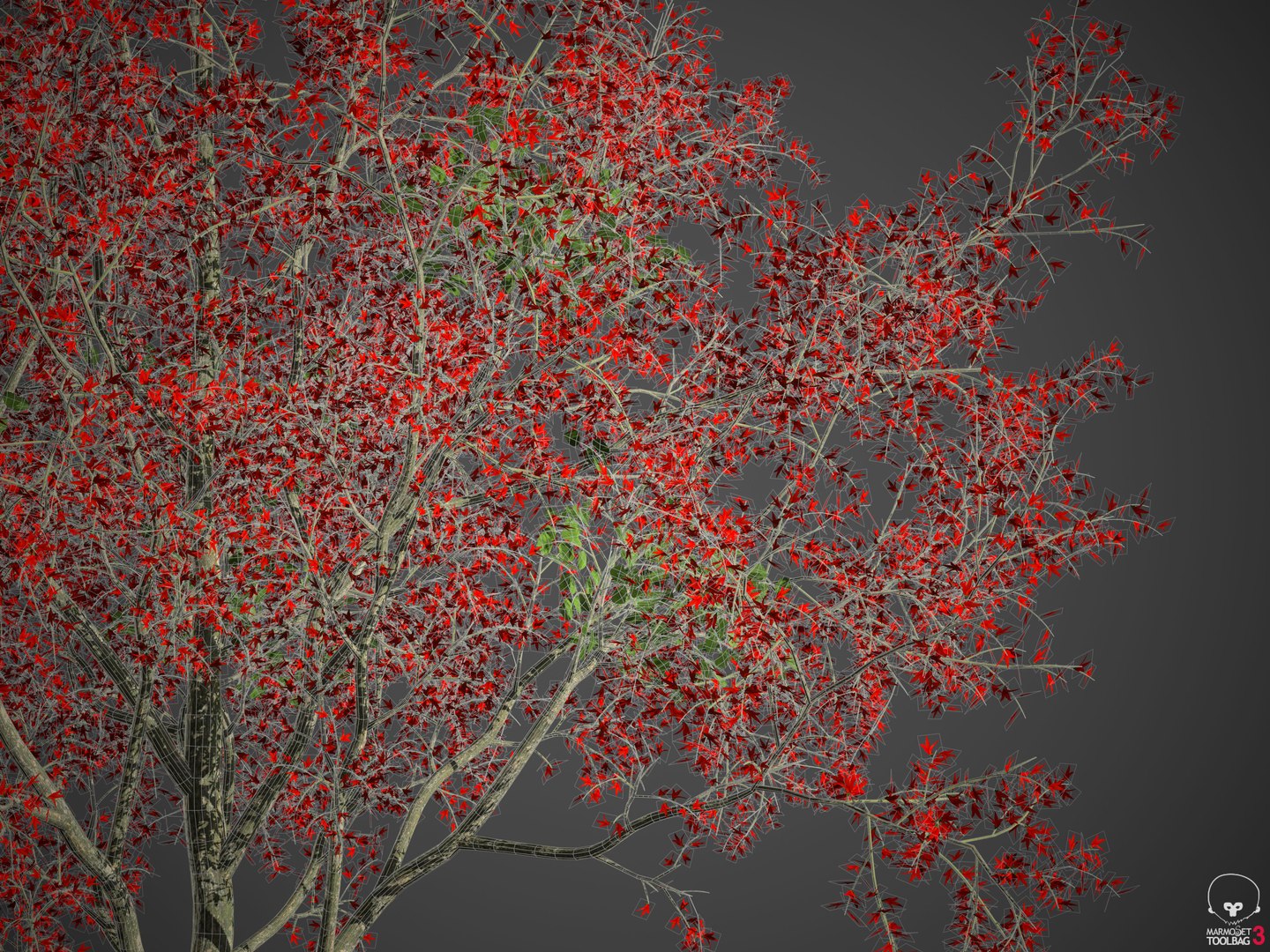 Tree Nature Model - TurboSquid 1679661