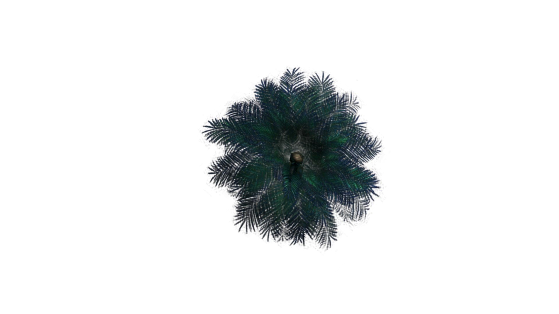 3D Date Tree - TurboSquid 2281404