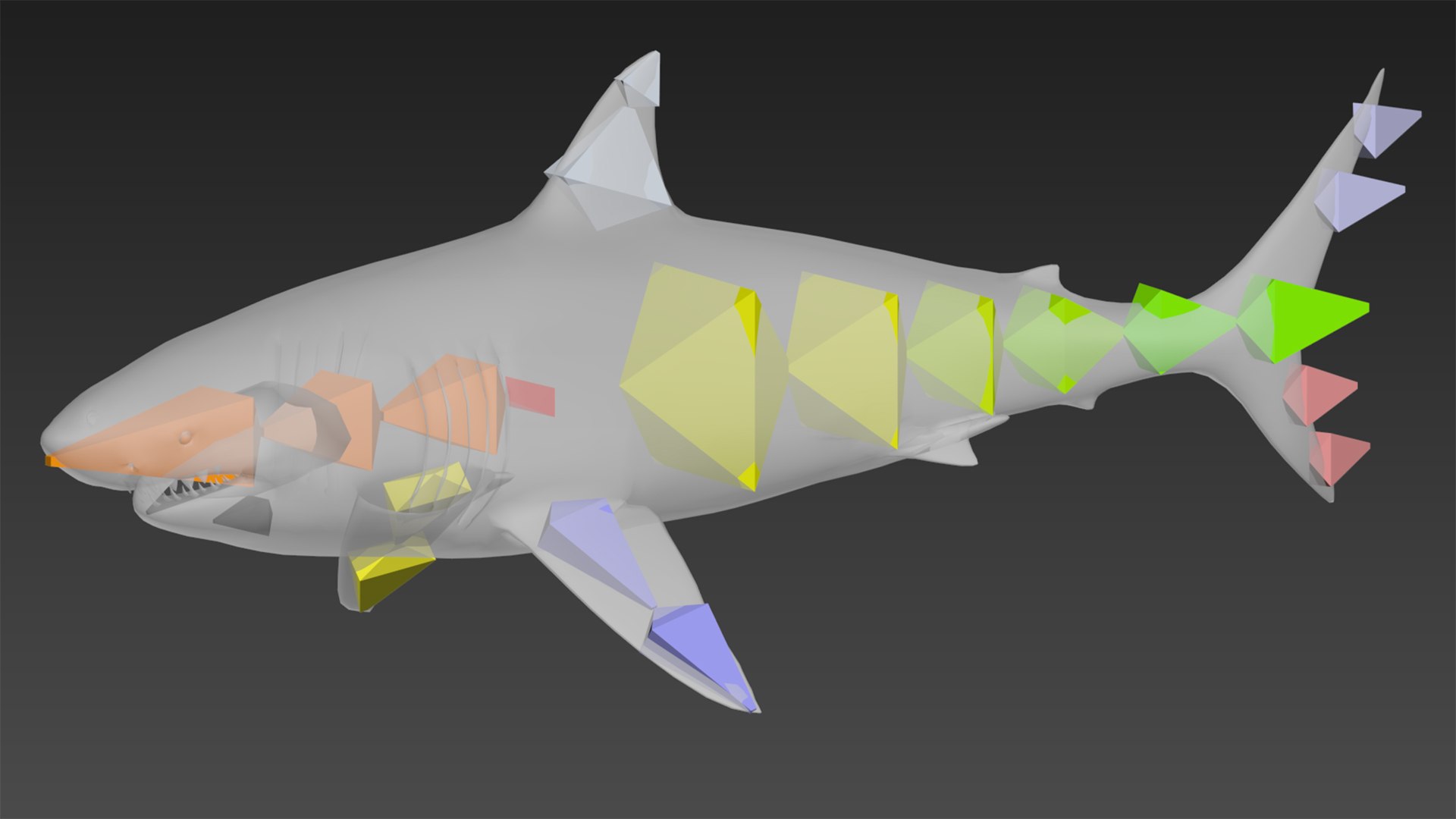 great white shark octane 3D model https://p.turbosquid.com/ts-thumb/nh/z4lRfA/XzNwJ7qA/bones/jpg/1557230932/1920x1080/fit_q87/27b4eb2779158f42a6ac441ebc842af64aa33955/bones.jpg