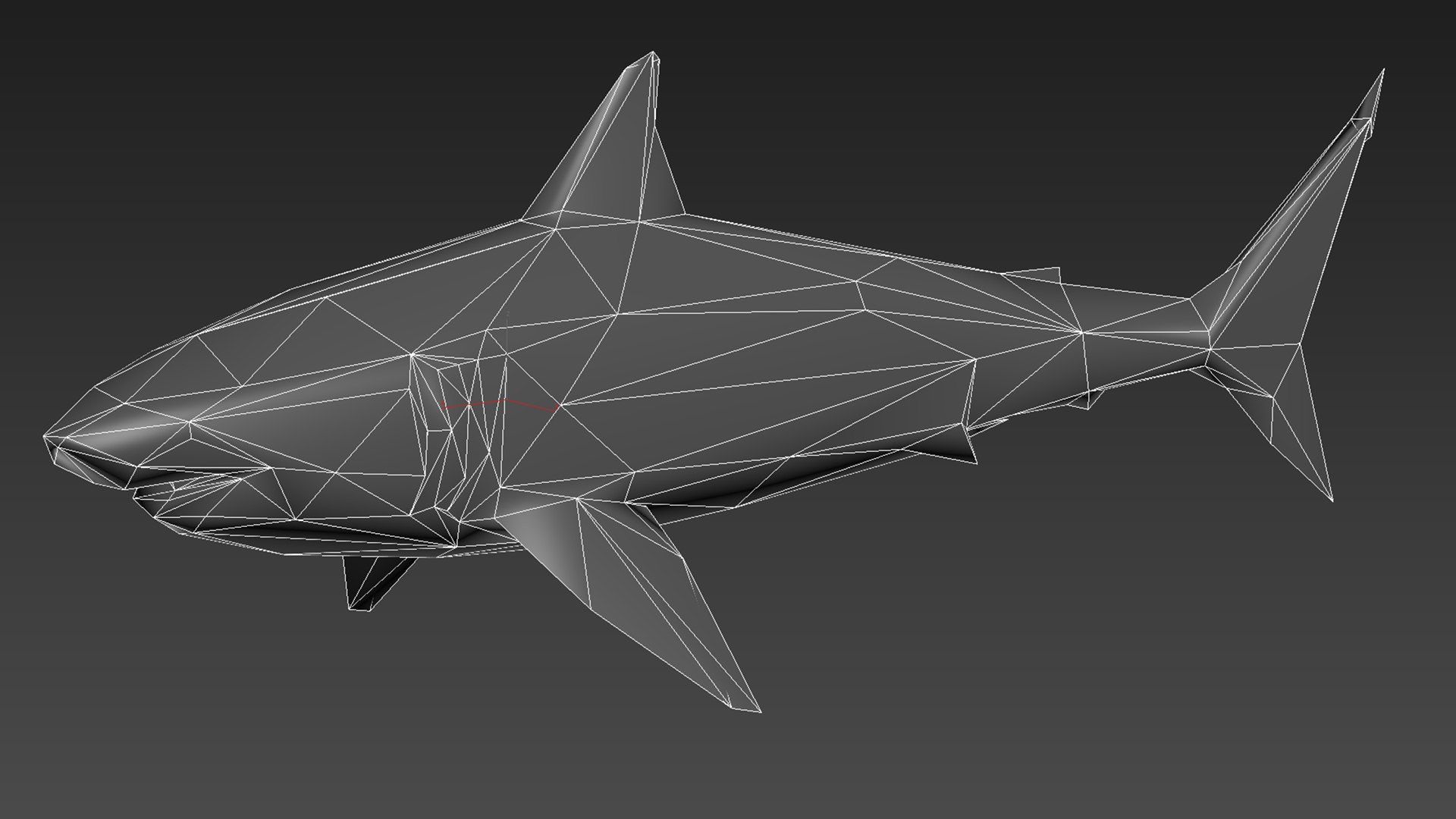 great white shark octane 3D model https://p.turbosquid.com/ts-thumb/nh/z4lRfA/qFFk3T7C/lod3/jpg/1557230932/1920x1080/fit_q87/e9097b767bfb1570418b45dd07e5f7faa91669bd/lod3.jpg