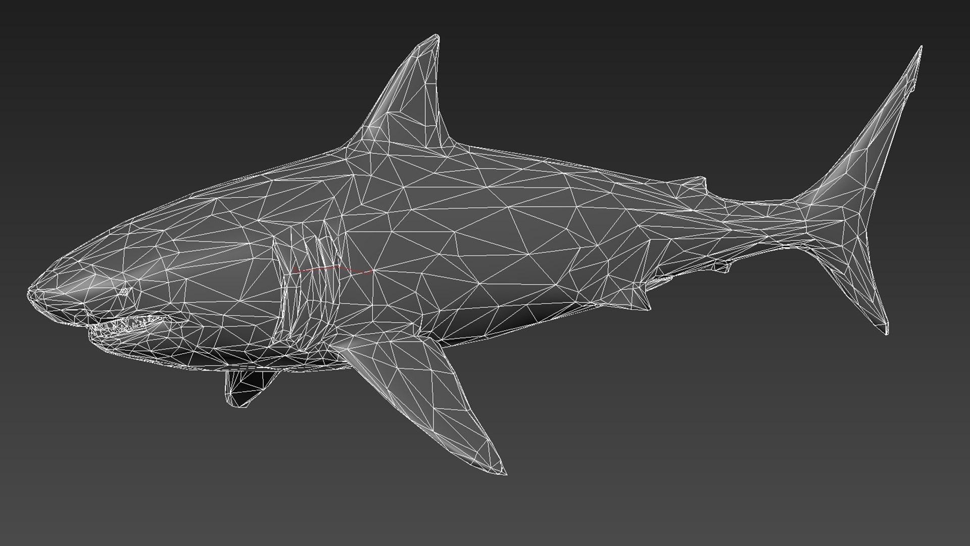 great white shark octane 3D model https://p.turbosquid.com/ts-thumb/nh/z4lRfA/wJ3CWuWD/lod2/jpg/1557230932/1920x1080/fit_q87/4d2e9fe1ecf94b769efe3b9c95994b775e47f4a9/lod2.jpg