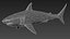 Great White Shark with Octane Support