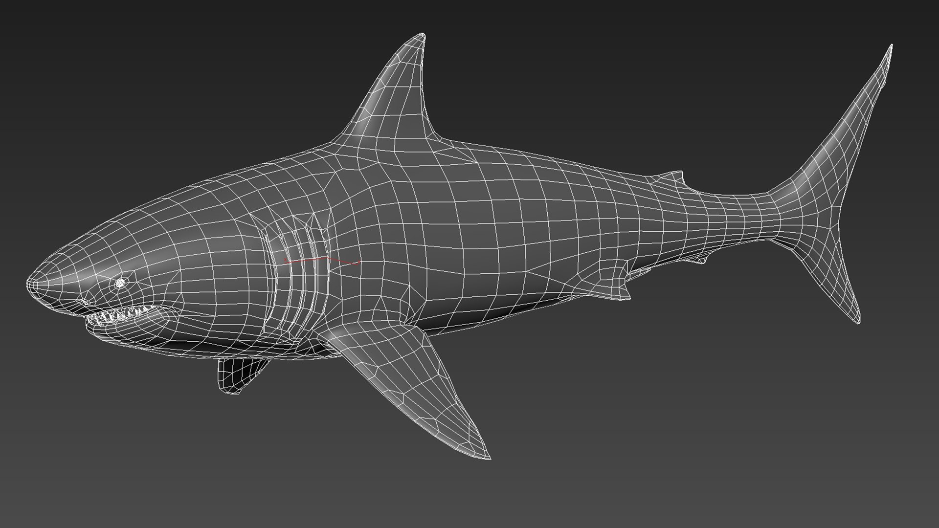 great white shark octane 3D model https://p.turbosquid.com/ts-thumb/nh/z4lRfA/xy1zbYWD/lod1/jpg/1557230932/1920x1080/fit_q87/1ee07ff68793ef72ffbb111f1f0a016d92fb237d/lod1.jpg