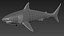 Great White Shark with Octane Support