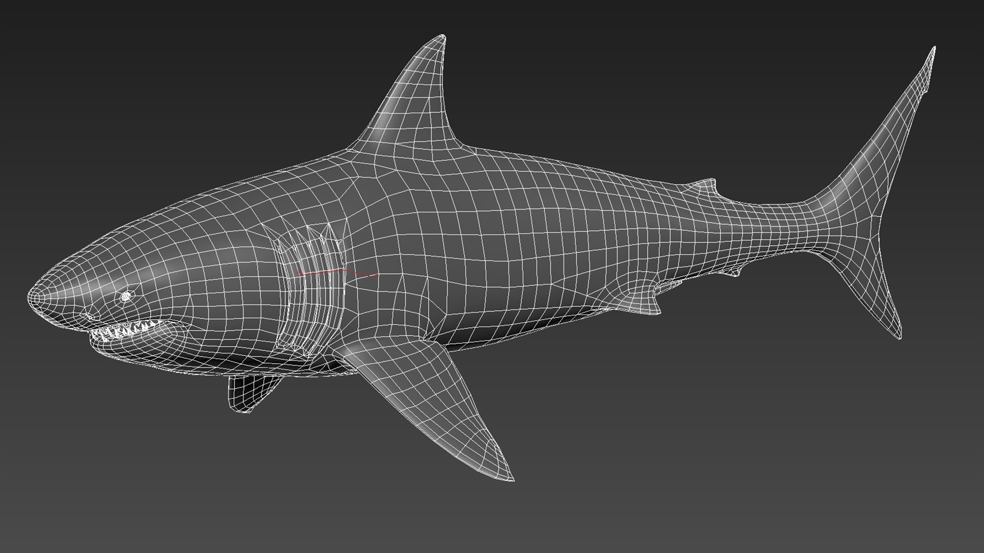 great white shark octane 3D model https://p.turbosquid.com/ts-thumb/nh/z4lRfA/yd1EnOyl/lod0/jpg/1557230932/1920x1080/fit_q87/8a482f7c0daefbd1674d741068bd5f6465aa0993/lod0.jpg
