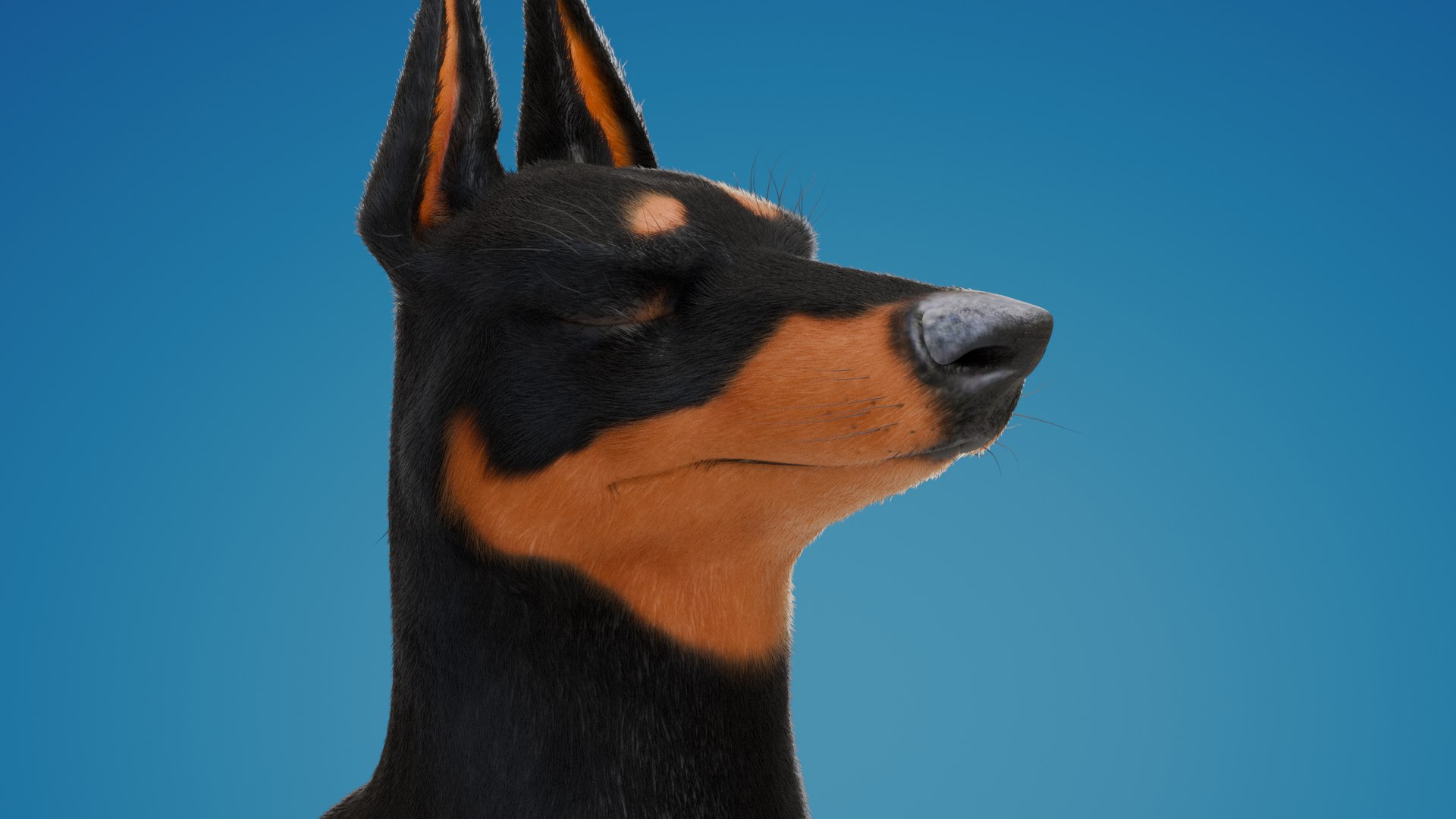 Doby toon fur 3D model https://p.turbosquid.com/ts-thumb/ni/a3F58A/U1/dobyrender07/png/1762401804/1920x1080/fit_q87/ca56a546f6316a35a76a662fd76b7d26ea2b58d7/dobyrender07.jpg
