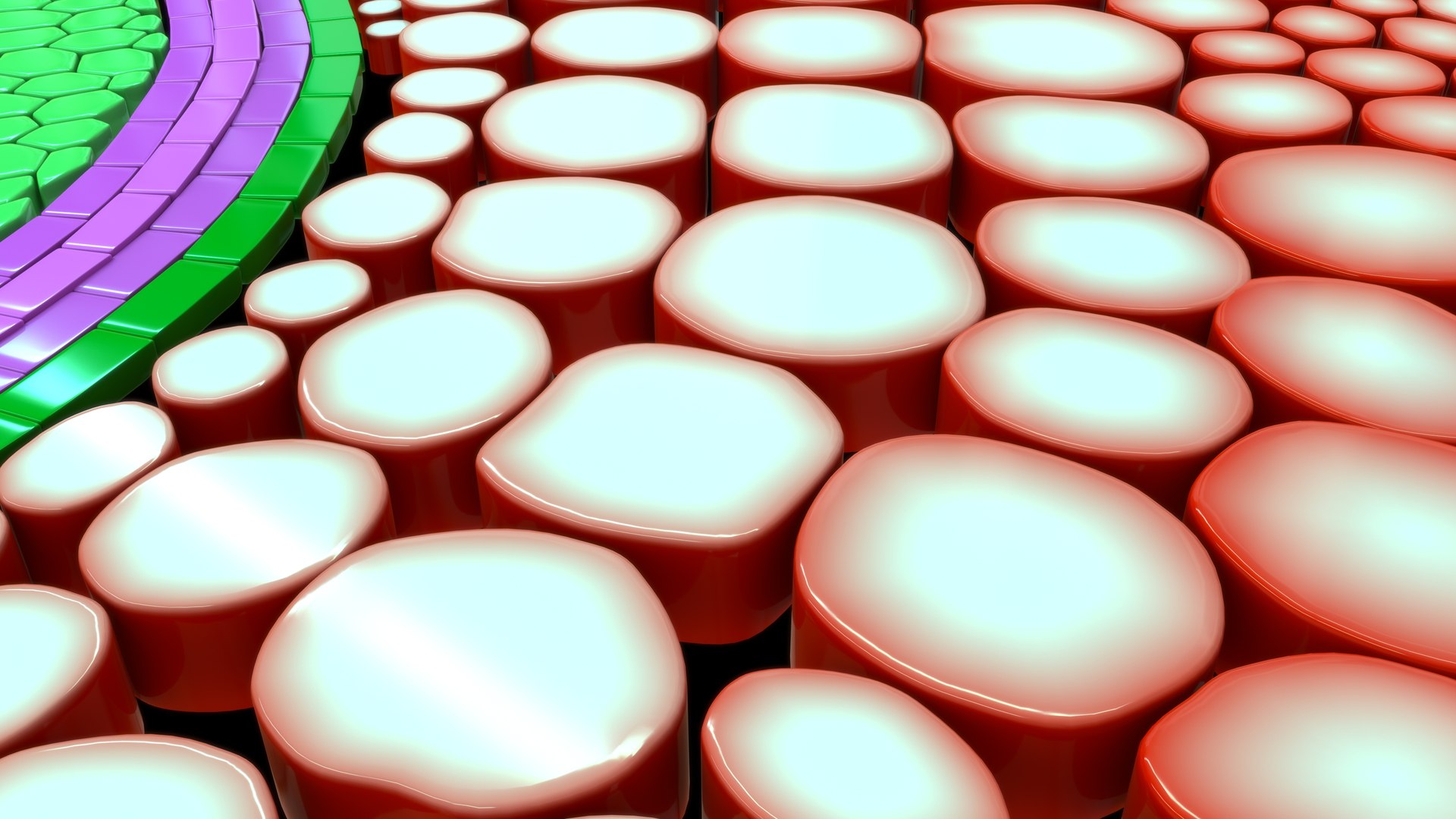 3D Dicot root model https://p.turbosquid.com/ts-thumb/ni/l7qeXk/Ko/z0108_dicot_root_0003/jpg/1709275085/1920x1080/fit_q87/42d2d28b5390ebb3b455ddce0edef77c42433787/z0108_dicot_root_0003.jpg