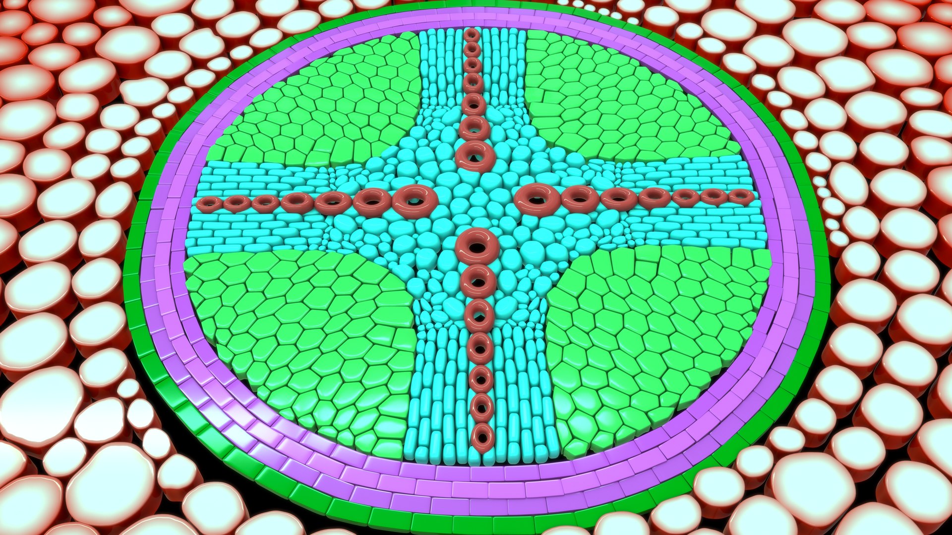 3D Dicot root model https://p.turbosquid.com/ts-thumb/ni/l7qeXk/Wh/z0108_dicot_root_0005/jpg/1709275088/1920x1080/fit_q87/512cb54c7c95210e29f983feb643e323d8576cf4/z0108_dicot_root_0005.jpg