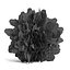 Thuja Shrub I