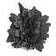 Thuja Shrub I