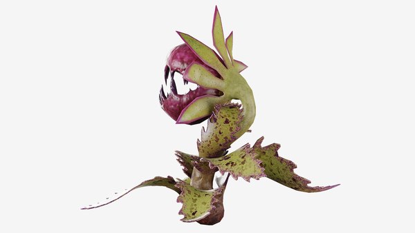 Wild Raspberry Carnivorous Monster Plant 3D model - TurboSquid 1932800