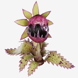 Wild Raspberry Carnivorous Monster Plant 3D model