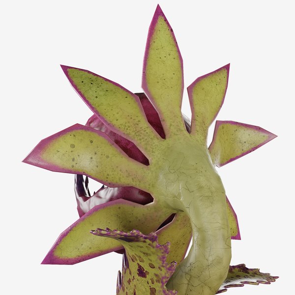 Wild Raspberry Carnivorous Monster Plant 3D model - TurboSquid 1932800