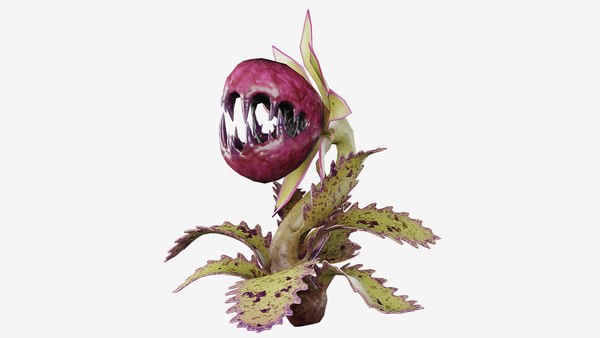 modelo 3d Wild Raspberry Carnivorous Monster Plant - TurboSquid 1932800