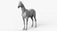 Cavallo