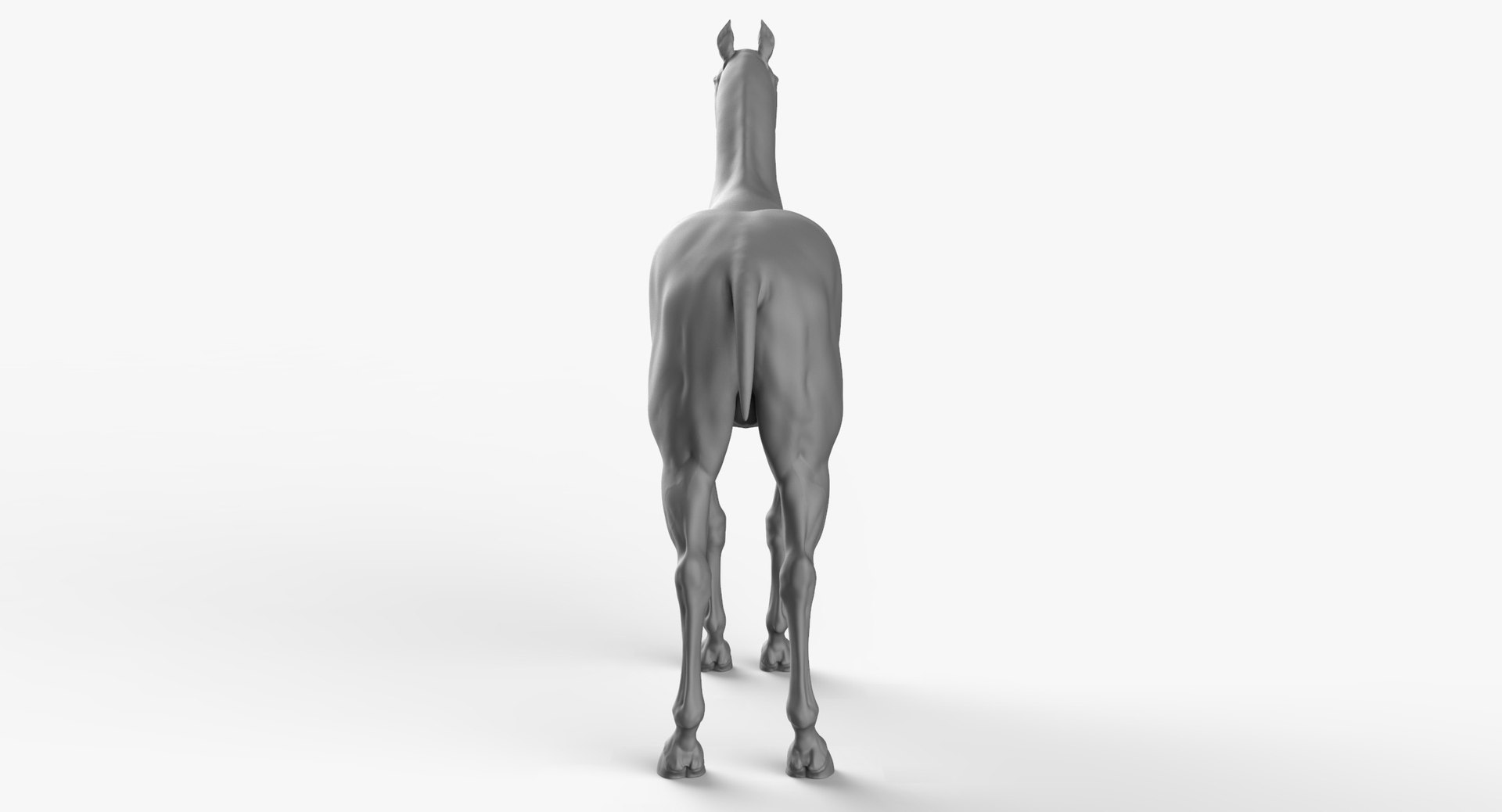 3D horse animal mammal https://p.turbosquid.com/ts-thumb/nj/40nK0R/GdQ7PXVQ/horse_04/jpg/1543290698/1920x1080/fit_q87/03749cc5e92d888285e242ea2b68ac928d480160/horse_04.jpg
