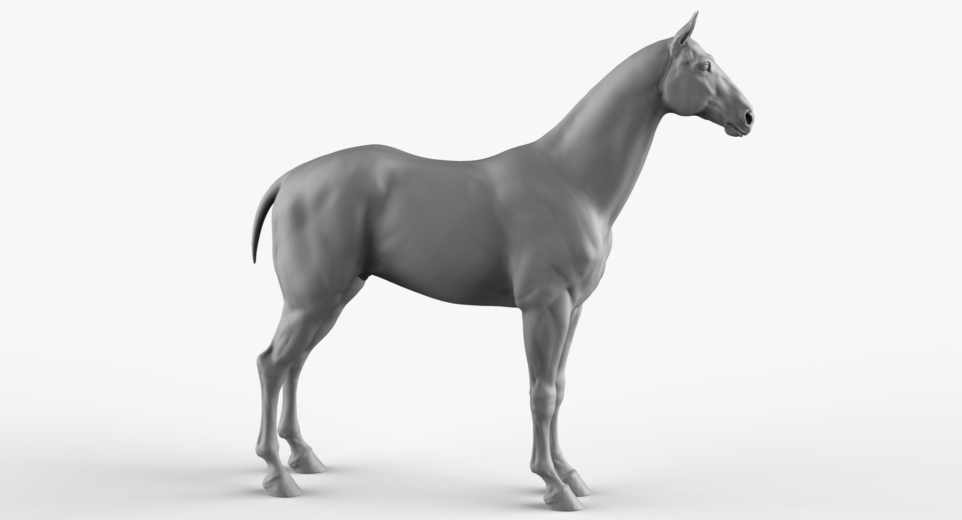 3D horse animal mammal https://p.turbosquid.com/ts-thumb/nj/40nK0R/MXbff7f2/horse_cam03/jpg/1543364409/1920x1080/fit_q87/6fbc48add6b03bfae7653a0ec2cc9a6372070be1/horse_cam03.jpg