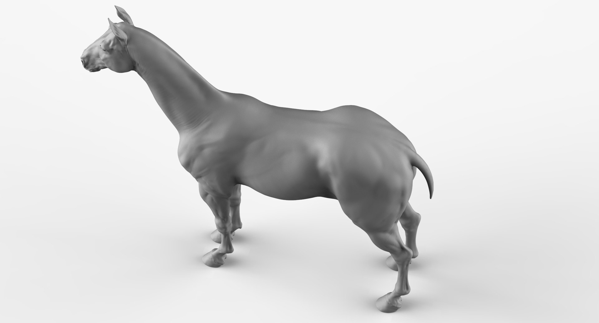 3D horse animal mammal https://p.turbosquid.com/ts-thumb/nj/40nK0R/ZUXnMu2u/horse_cam09/jpg/1543364409/1920x1080/fit_q87/6b5521edc6c2e0e7cb55918f81d3500358fca057/horse_cam09.jpg