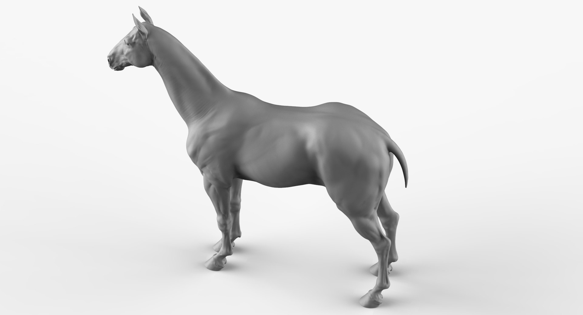 3D horse animal mammal https://p.turbosquid.com/ts-thumb/nj/40nK0R/dcyU6CJS/horse_cam10/jpg/1543364409/1920x1080/fit_q87/d0573d5f5b9ef816e52f4aafca60d98c9405a5f1/horse_cam10.jpg