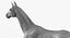 Cavallo