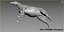 Cavallo