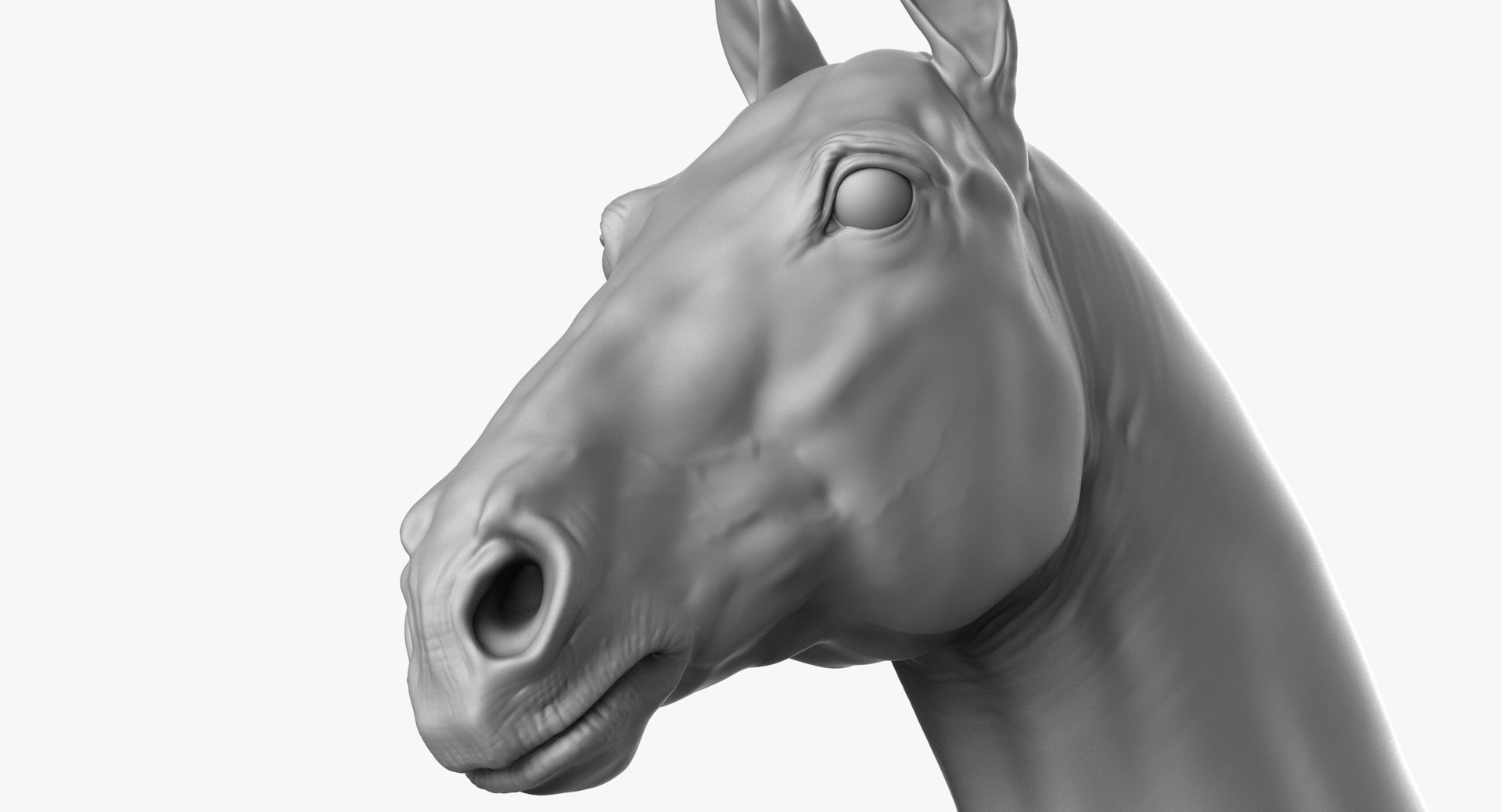 3D horse animal mammal https://p.turbosquid.com/ts-thumb/nj/40nK0R/ql3Nkwxd/horse_cam22/jpg/1543364409/1920x1080/fit_q87/491d866696bca98d49d035bcc39de6749d0b9075/horse_cam22.jpg