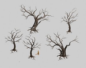 dry trunk 65 3D model