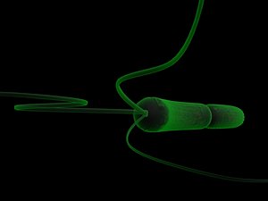 3ds max flagellates bacteria